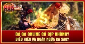 Đá gà online có bịp không
