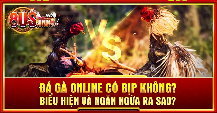 Đá gà online có bịp không