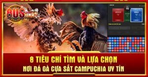 đá gà cựa sắt Campuchia