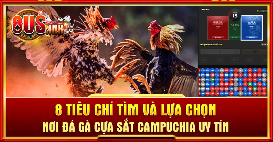 đá gà cựa sắt Campuchia