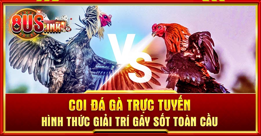 Coi đá gà trực tiếp