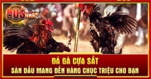 Đá gà cựa sắt